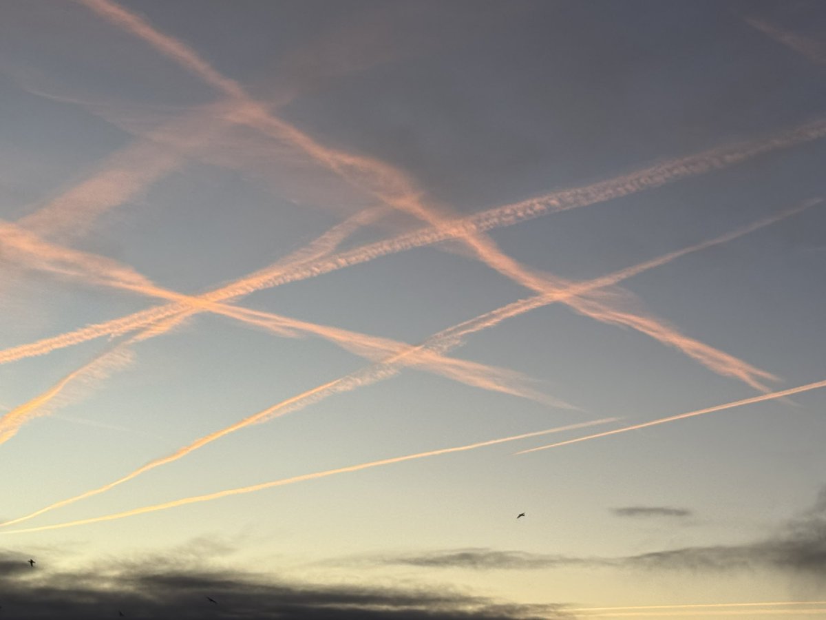 Richard Sadler tweet media