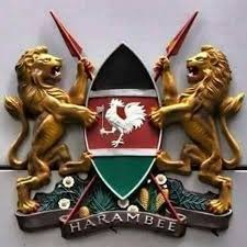 GusiiTycoon's tweet image. Jackie Adhyambo says Kenya’s strength lies in its unity. Seeking consensus through dialogue ensures we stay strong together. #LessonsFrom2024, Respect Everyone, Heshima Si Utumwa