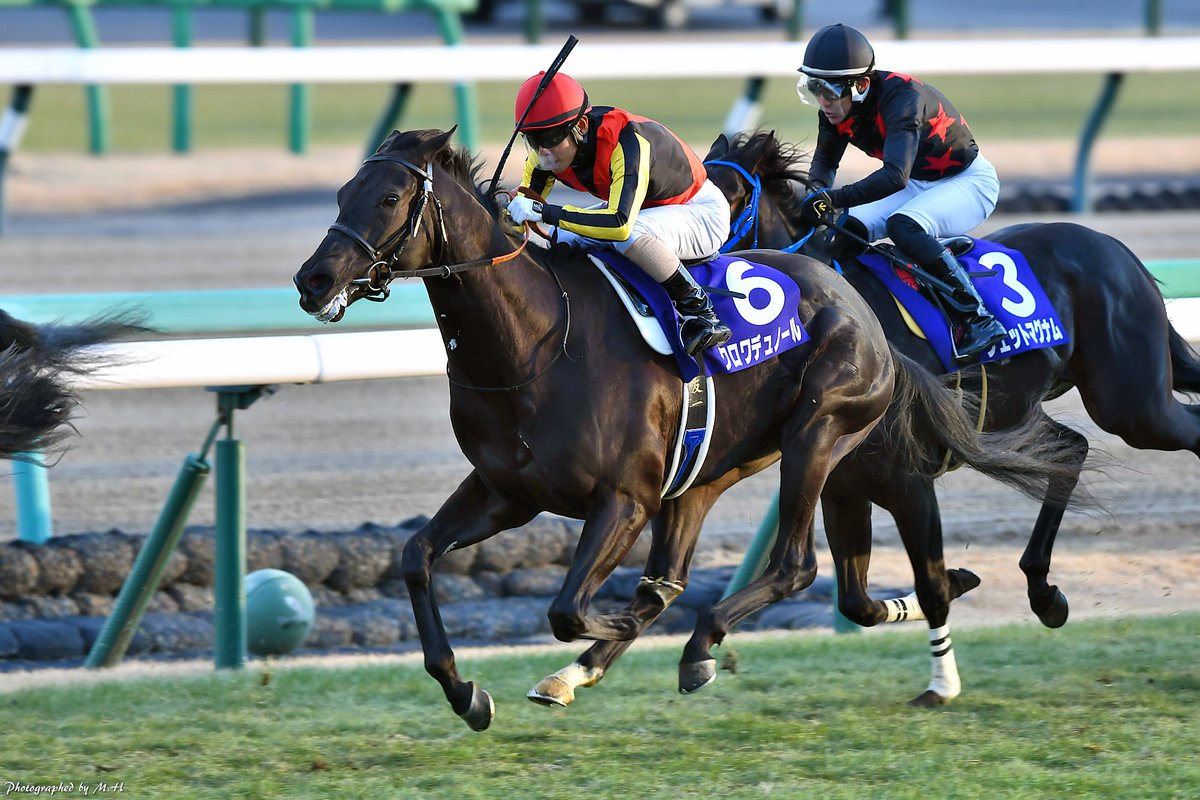 Horse Memorys (@horse_memorys) / X