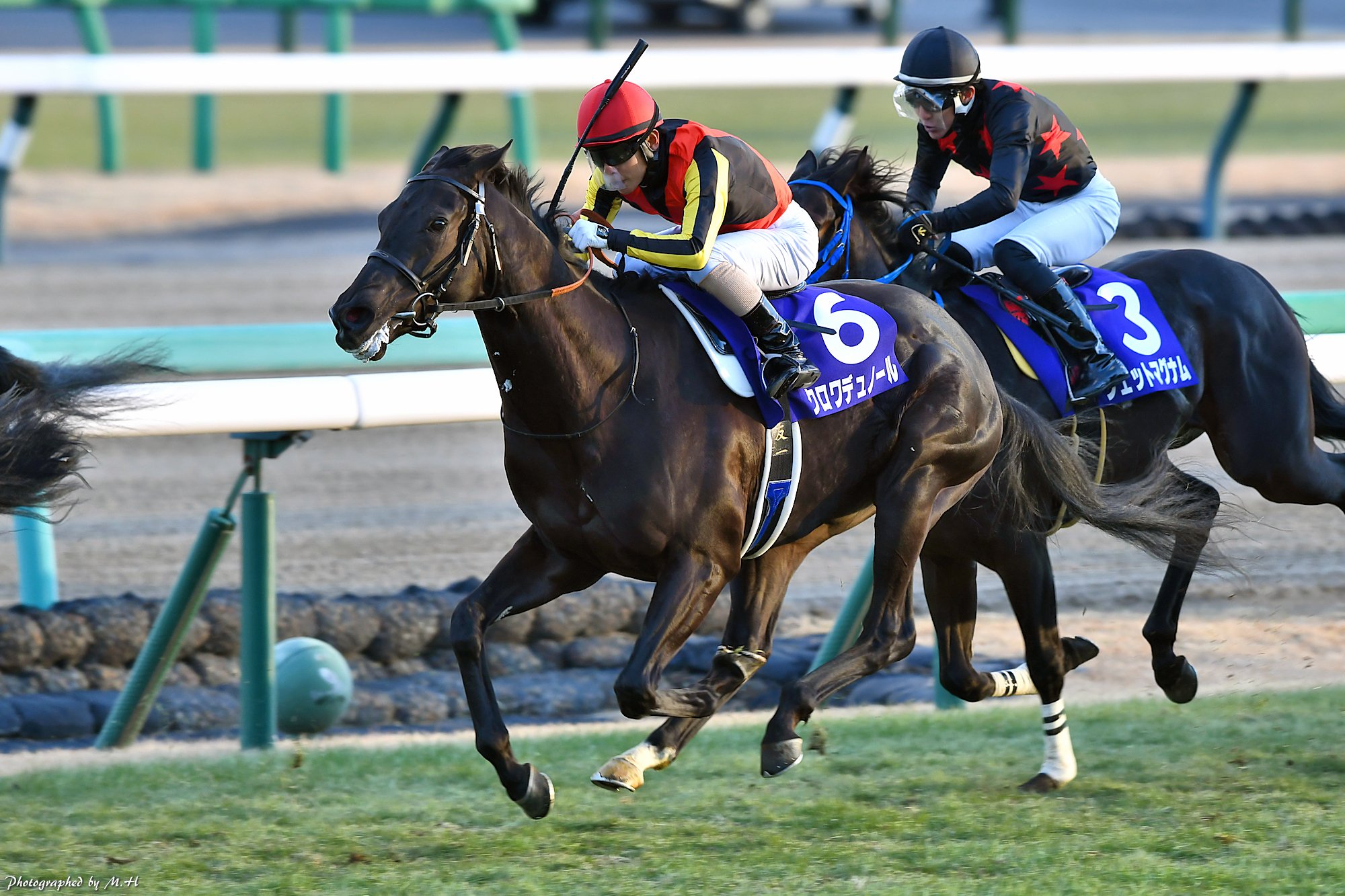 馬のメモ帳　　アーモンドアイ&ワグネリアン 馬のメモ帳 アーモンドアイ&ワグネリアン