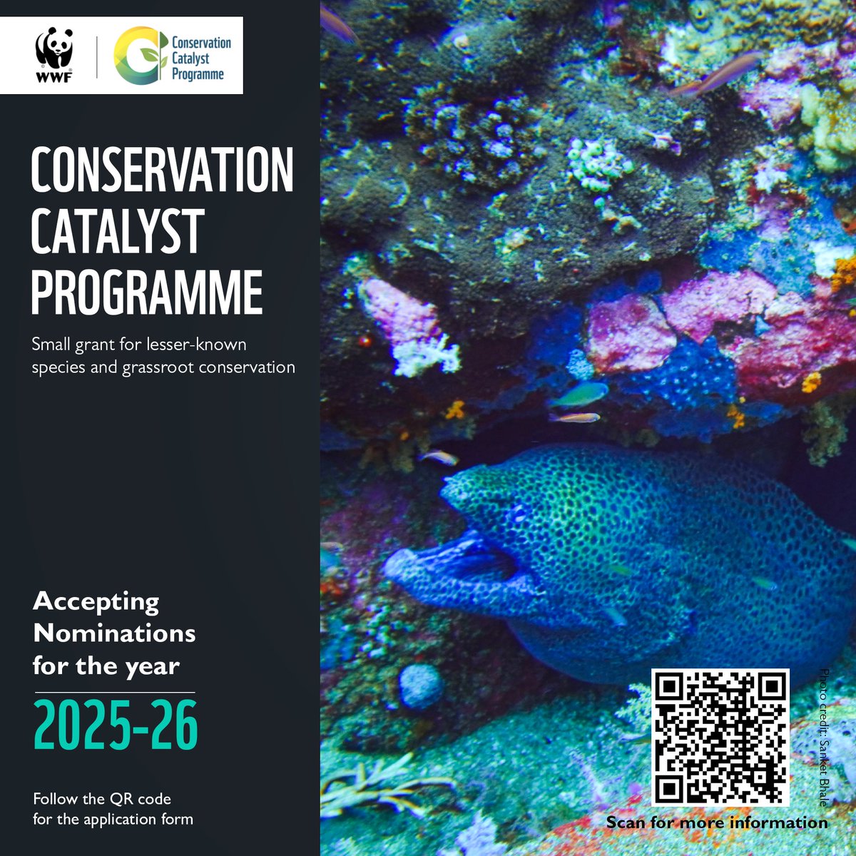 WWFINDIA's tweet photo. Have you applied for the CCP grant yet? January 15 is the last date. The Conservation Catalyst Programme (CCP) is a small grant that supports grassroot conservationists and organisations to conserve lesser-known wildlife and habitat.๐งต
#ConservationCatalystProgramme #WWFIndia https://t.co/jv69Aj9VP3