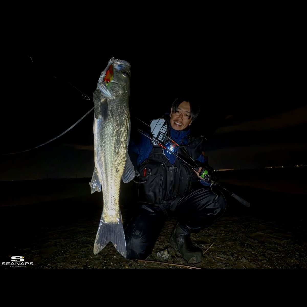 sei_uchida_fish's tweet photo. 潮止まり付近のジアイでBANQ82SのPoisonUカラーに出てくれました。目立つカラーはこの界隈では必要なんですよね☝️来年は仕上げて、何かしらのイベントでお披露目できたらいいなぁ😆
#PR #popseacrew #PSC #BANQ82S #PoisonU #APIA #BlueBlueFishing #ZALTS #LINESYSTEM #XENOS #シーバス https://t.co/QSXluh8Ljh