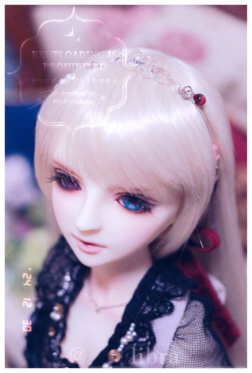 ____libra______'s tweet photo. 友人の円さん @kole_potiri @madokanzoku によるガラス製のアクセサリー第2弾！ ガラス製のティアラです。これはヒト用のチョーカーにもなる仕様。姫の分だけお迎えしたけれど、自分用のチョーカーもお願いすれば良かった……、などと思いつつ撮影していたのでした。 https://t.co/5iovAleJVG