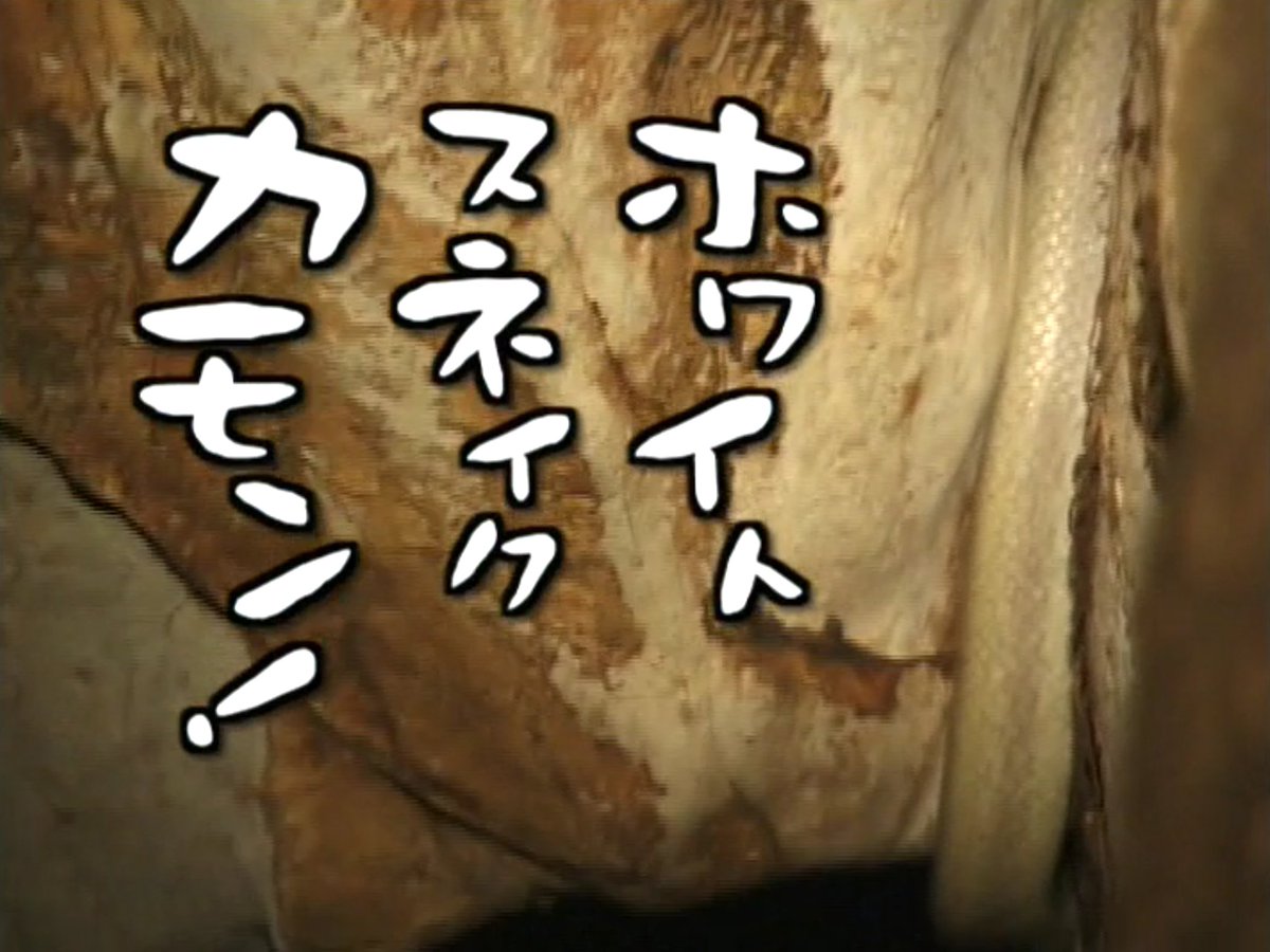 yamata_Suido's tweet photo. https://t.co/TiUo2HFbmm