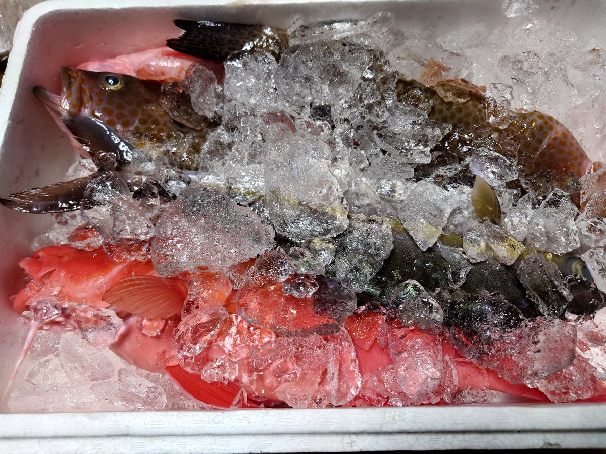 毎度年末に貰うけど
今回は多いな🙄