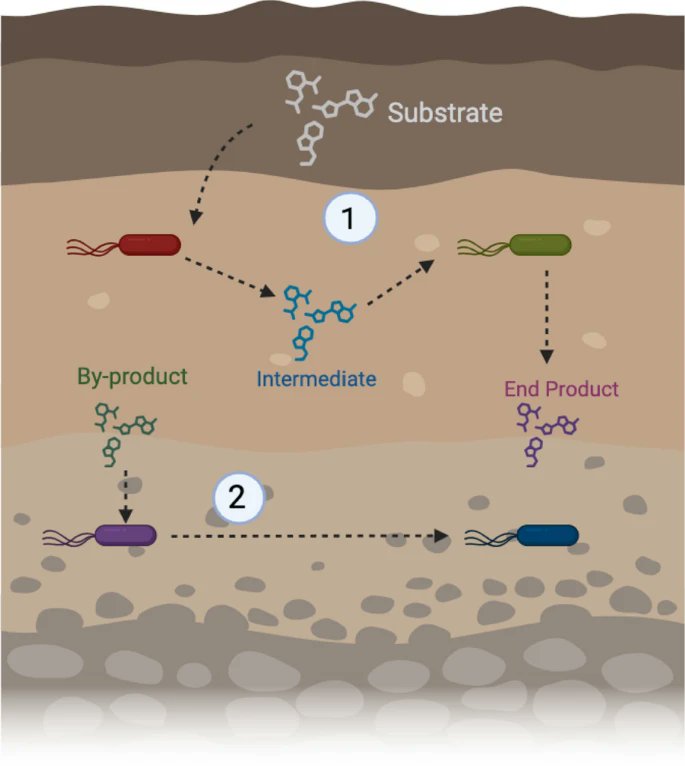 Akos T. Kovacs tweet media