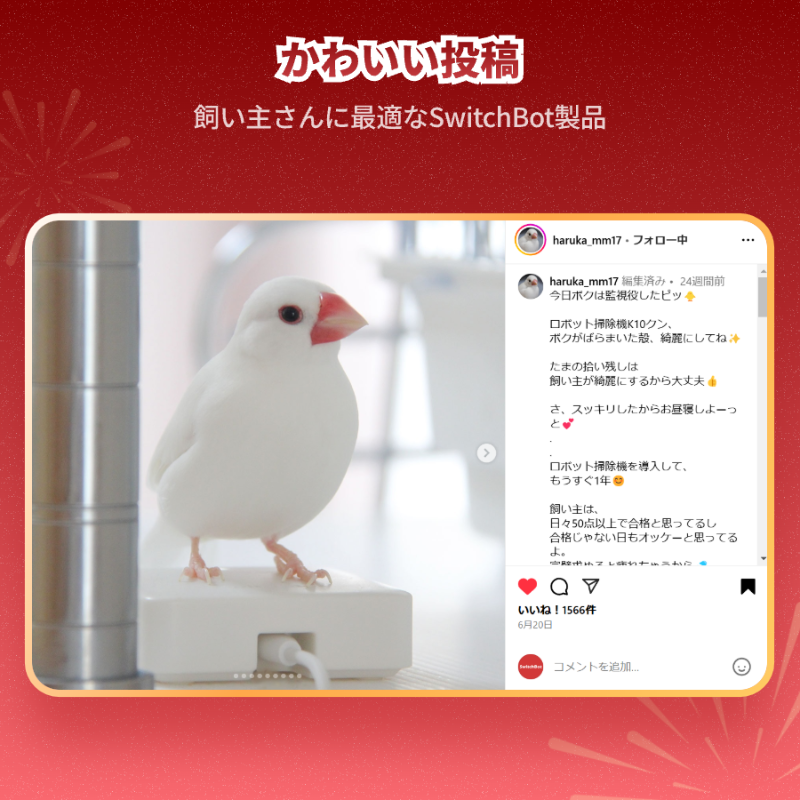 SwitchBotJapan's tweet photo. ＼新春フォロー＆RTキャンペーン開催🎊／

🎍合計25名様にお年玉を差し上げます🧧

今年もどうぞよろしくお願いします💖

🥳新春初売りセール、皆さんの面白い投稿も要チェック！🔽