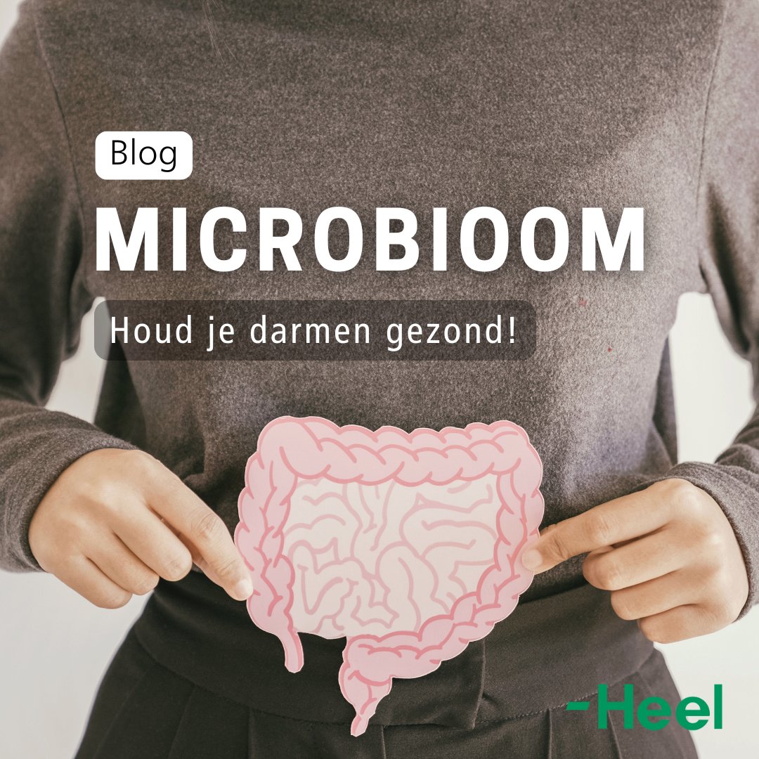 De gezondheid van je lichaam begint bij je darmen en je darmbacteriën, ook wel het microbioom genoemd. Maar wat is je microbioom eigenlijk? Hoe leg je het in de watten? 

👉 ow.ly/Fmmz50UwV8o

#microbioom #darmmicrobioom #Gezondheid #darmflora
