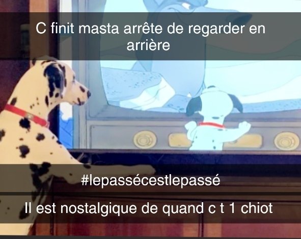 cactus_chaleur's tweet photo. https://t.co/AgjAnak2Bj
