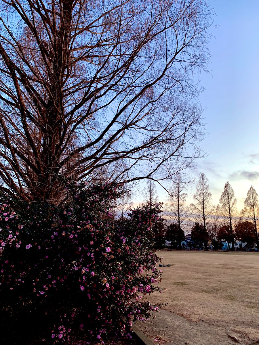 アマーティ本年営業無事に終わりました。全国各地よりご来店を誠にありがとうございました…バクナンファンノートの記録をみて⭐️バクナン音楽🎵が日々の支えになってる真実を目にして感動しております。
どうぞ皆様良いお年をお迎え下さいませ…
☆新年1月3日（金）11時30分営業開始