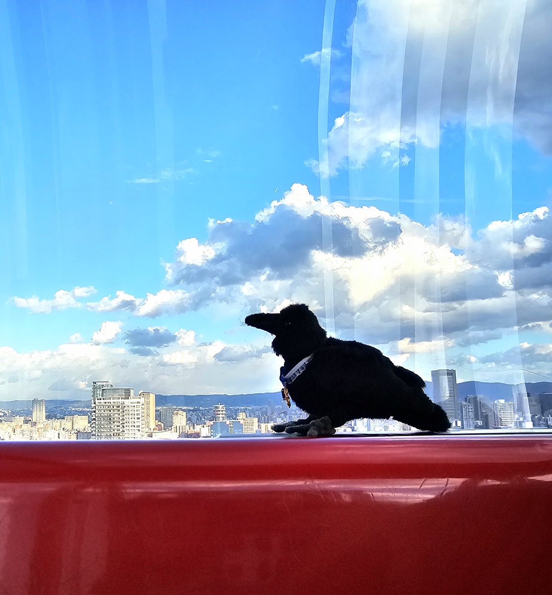 <2025년 1월5일 폼 오픈 공지>
판매문의 주시는 분들이 많이 계셨었는데 
청사의해 푸른뱀 폼이 1월5일 오픈될 것 같습니다 라인업을 고민중입니다만

확정된 친구들은 
뱀/앵무새/까마귀/거위/오리 입니다

이번 폼에서는 2025년 행운이벤트로
선착주문30분께 미니 클로버 인형 키링을 드립니다