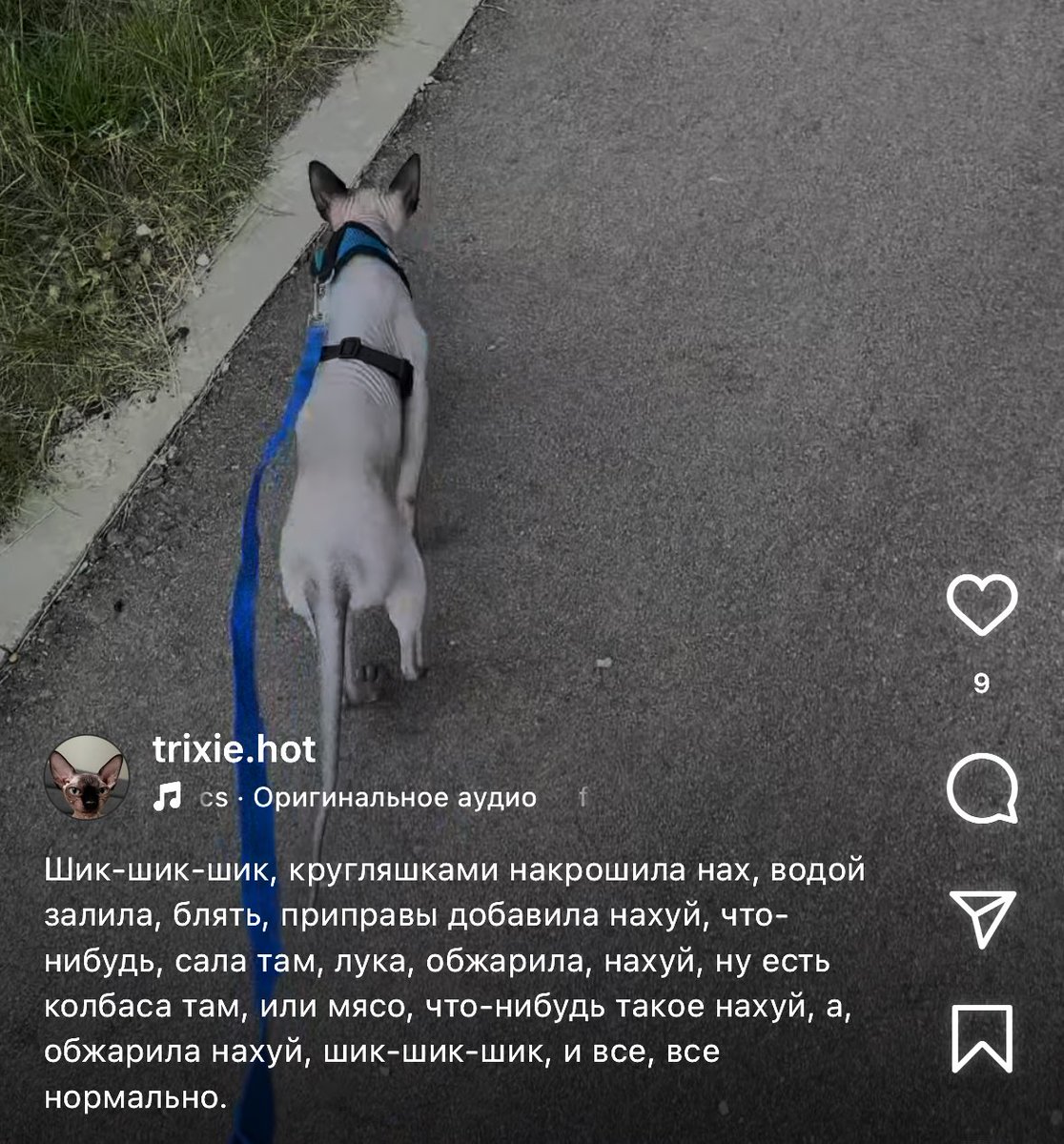 Трикси старается, но никто не выкупает((((