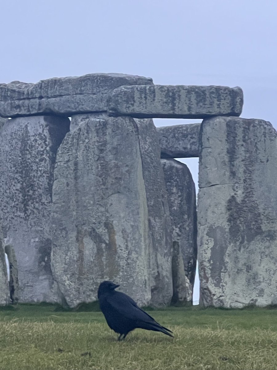 ST0NEHENGE's tweet photo. Sunrise at Stonehenge today (30th December) was at 8.11am, sunset is at 4.06pm☁️ https://t.co/UE9kS0fwHJ