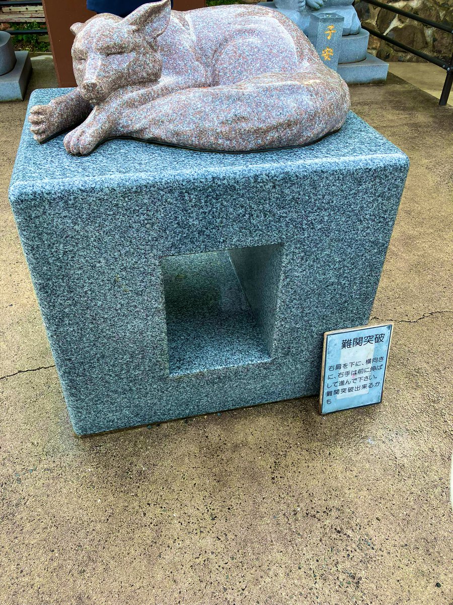 毎年末恒例の家族旅行。
今年も家族みんな元気で健康に過ごせたので良い年でした！