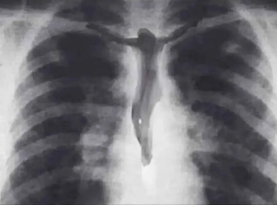 Adam | Faithful Messenger tweet media