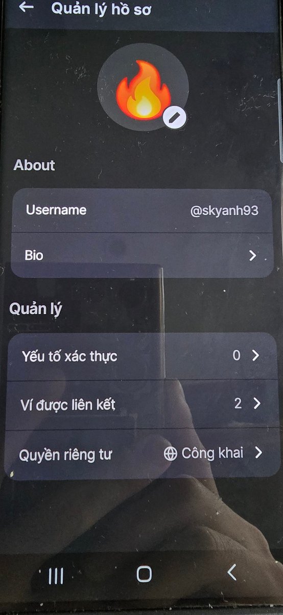 Skyanh93 tweet media