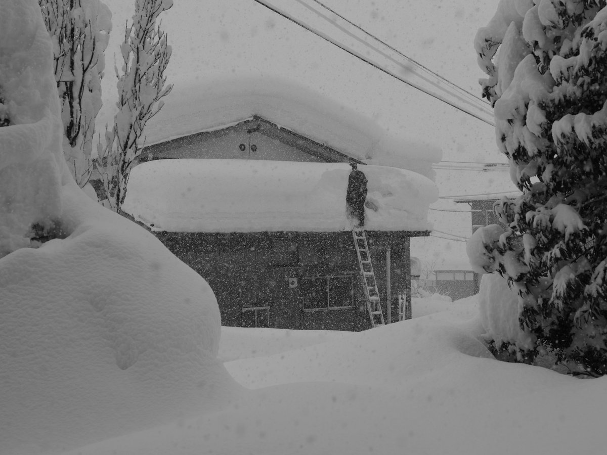 tepe777's tweet photo. 長岡駅から25分でこの世界。
#雪国 #山古志 #雪おろし
#snow #japansnow #niigata #bh https://t.co/Aiy8fpfhZC