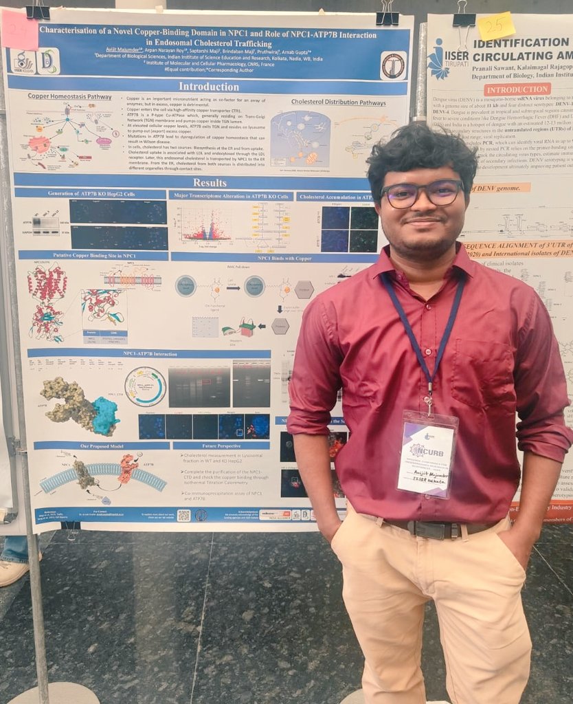 CopperBioGroup's tweet image. Tisha @DashTisha & Avijit @Avi_Majumder_, 5th year BS MS students from our lab, presented their posters at the National Conference for Undergraduate Research in Biosciences @ncurb_iisertpt organized by IISER Tirupati. Tisha was also selected to deliver a student talk.
@iiserkol