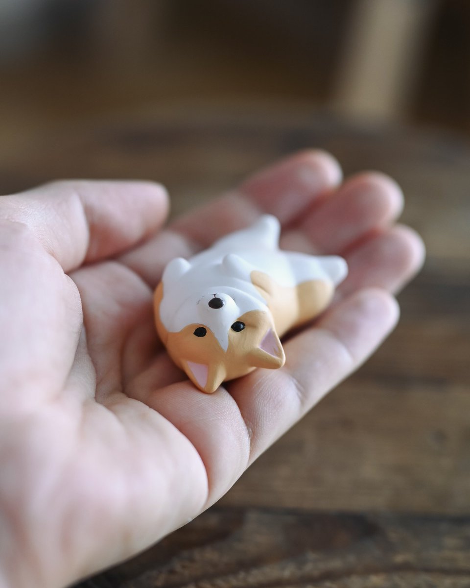 ˏˋ お知らせ ˎˊ˗ 原型制作を担当させていただいたカプセルトイ「こぎ