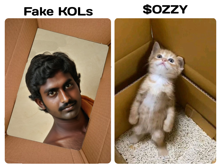 Ozzy_Cat_'s tweet photo. Scammer @KookCapitalLLC 

Why scammer? We spend 25 Sol &amp; and give him 1% of supply. After his calls on X and TG - ZERO volume, and he just sell all his supply

It's better to buy call from 10 indian shitt callers, than from this fake shit https://t.co/Da9Gt9uq2i