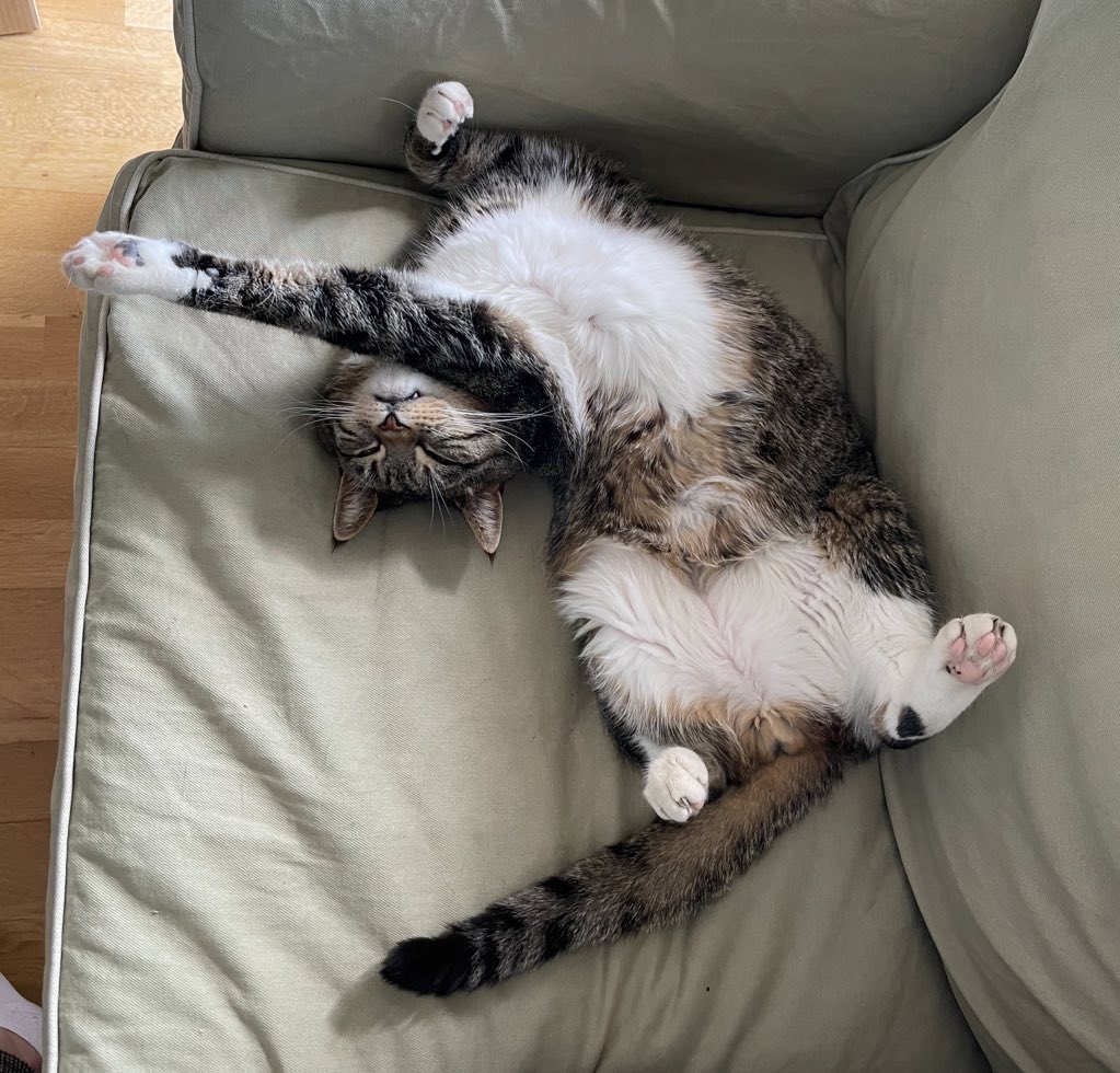 #dagensmiffo fortsätter med sin träningsinspo med soffans position. Kom igen nu latmaskar! 🤸‍♂️