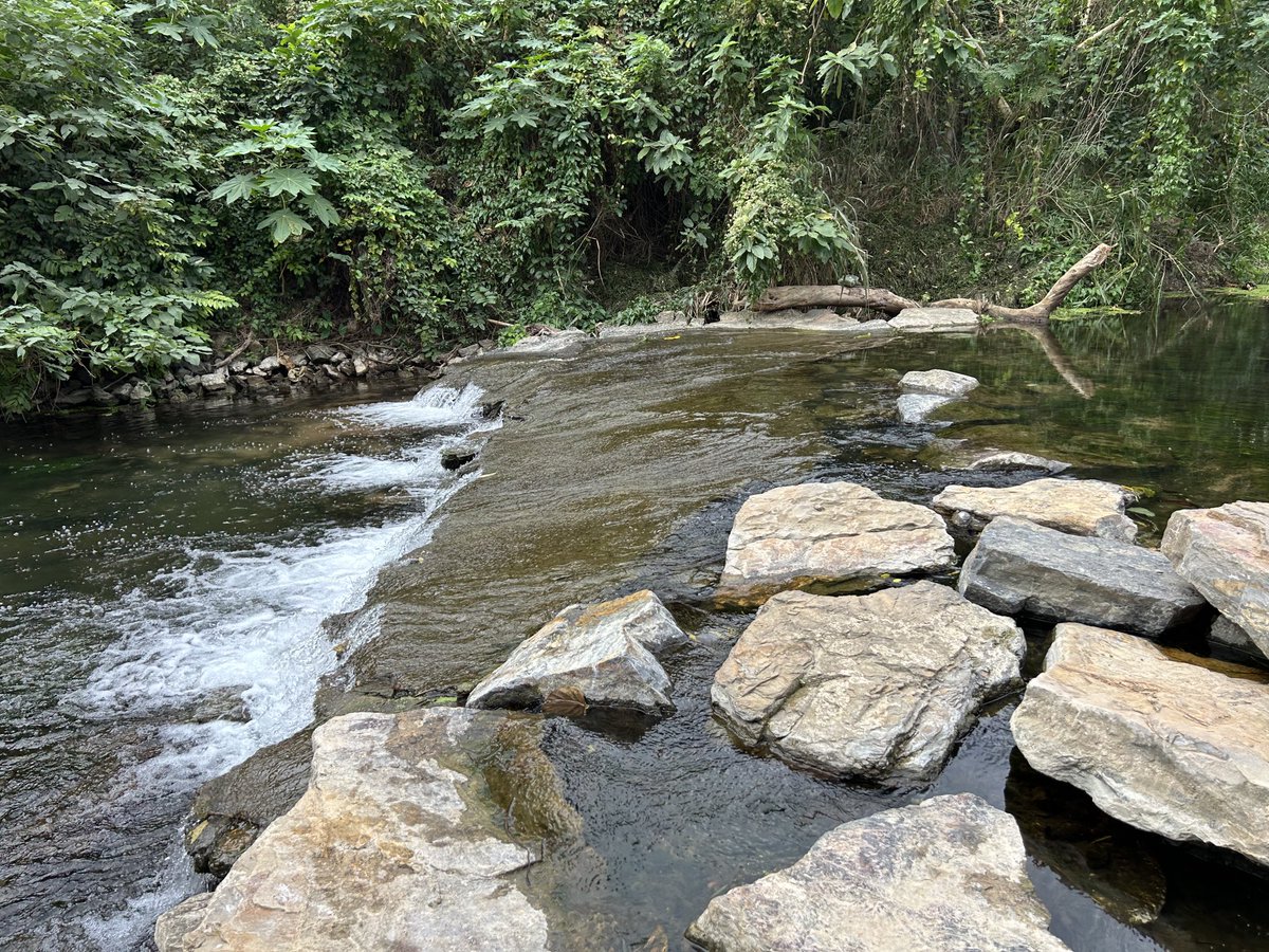 เล่นน้ำกันมั้ยครับ สระบุรี🌿🌴🎋
