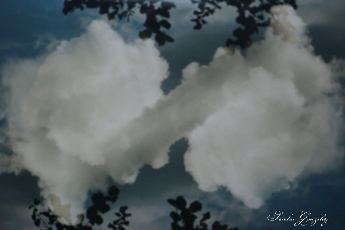 SandraGonz_lez's tweet photo. Voyage.
Surimpression de deux moments pour réaliser une photo argentique, pas besoin de logiciels ou de manipulation numérique, la fonction est directement disponible sur le canon reflex Eos 300.
#photographie #doubleexposition #surimpression #art #photoargentique https://t.co/YxkkbysGAh