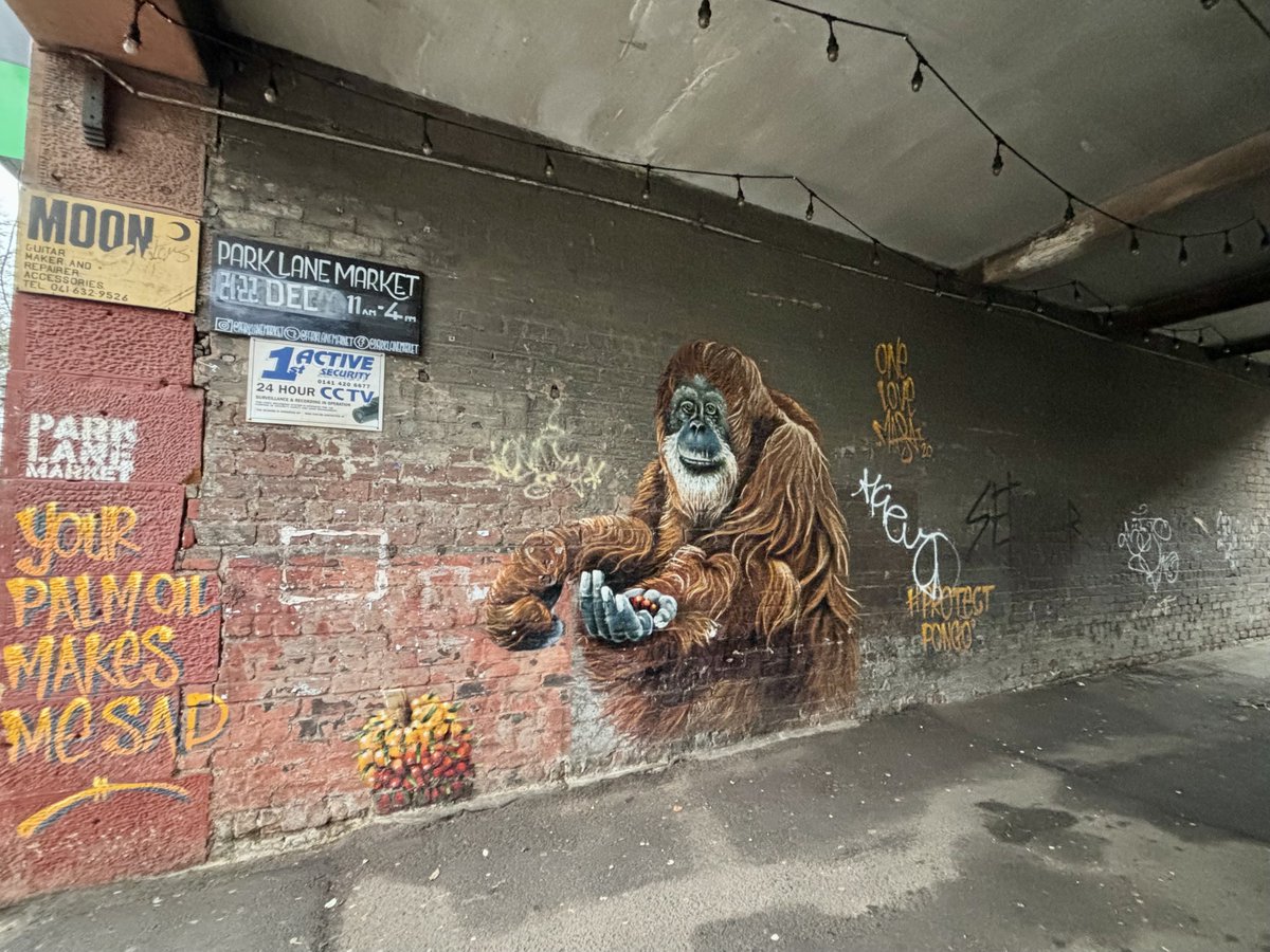 tours_talk's tweet photo. Its a driech day in Glasgow - so here’s a couple colourful murals to brighten it up. Louis Masai’s Orangutan ‘Pongo' and Richard Davies/Abandon Ship artwork in Park Lane Pend, Shawlands. https://t.co/5uxWGMug9F