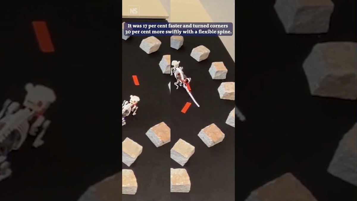 This robotic mouse has a flexible spine 🤖🐁⁠: buff.ly/3xkFEuI
