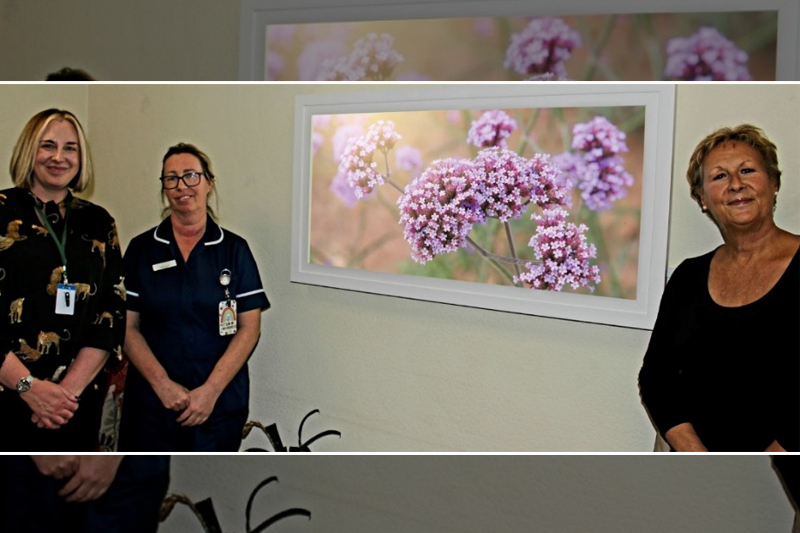 proelectrician's tweet image. Hospice brings the outside inside for patients, after £10,000 competition win

Find out more here - bit.ly/41HBzOw

@YESSSElectrical #lightingsolution #wakefieldhospice #LEDpanels