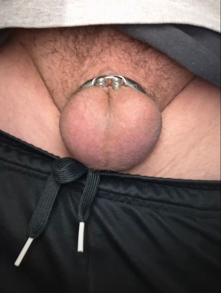 no_heiko's tweet photo. I love my "penectomy" cage. ๐#penectomy #penectomywanted #nopenis #nodick #readyforpenectomy #dickless https://t.co/d0TfXHBB7l