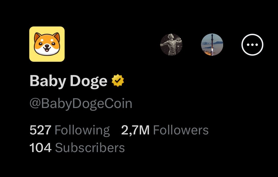 Baby Doge tweet media
