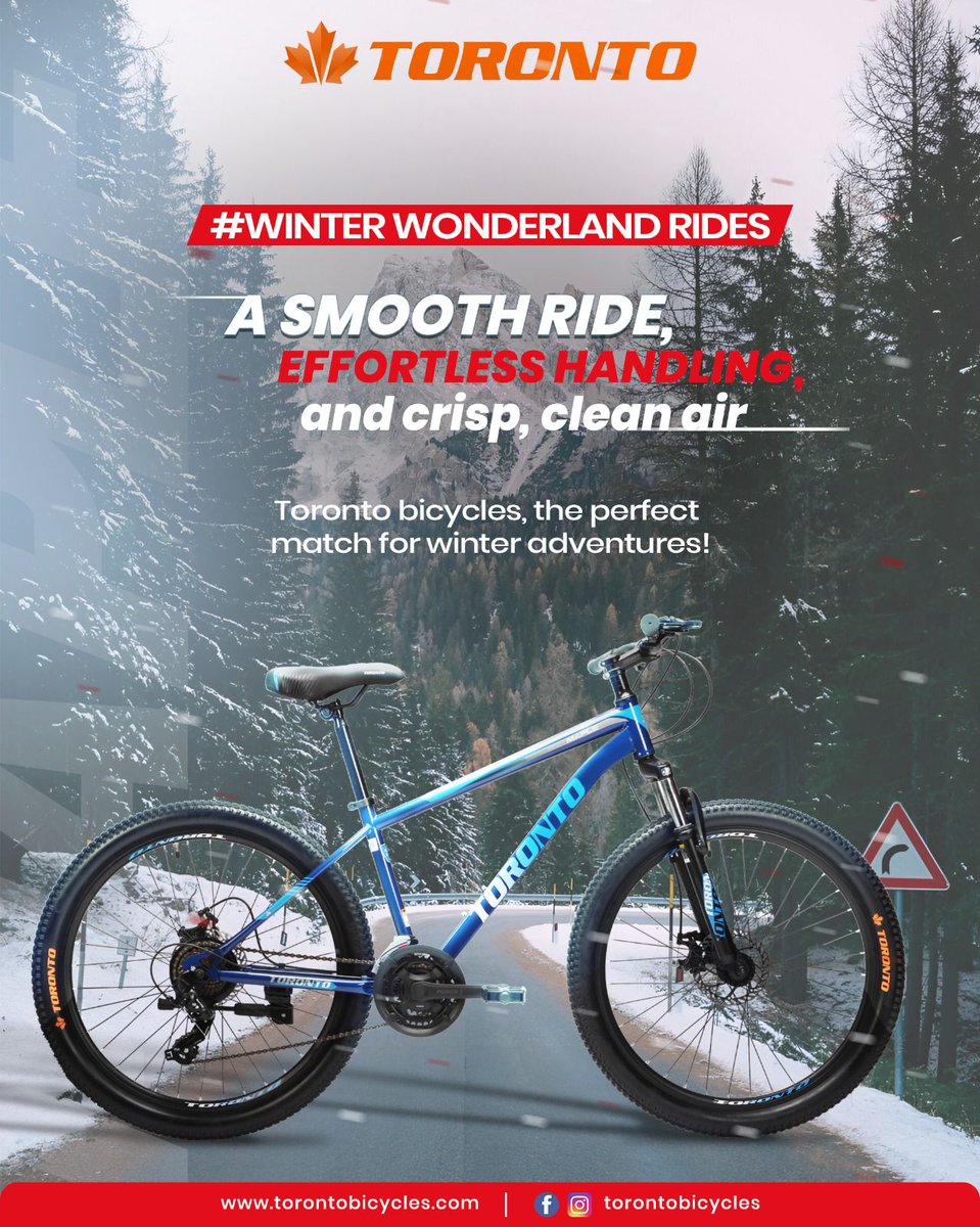 Toronto Bicycles tweet media