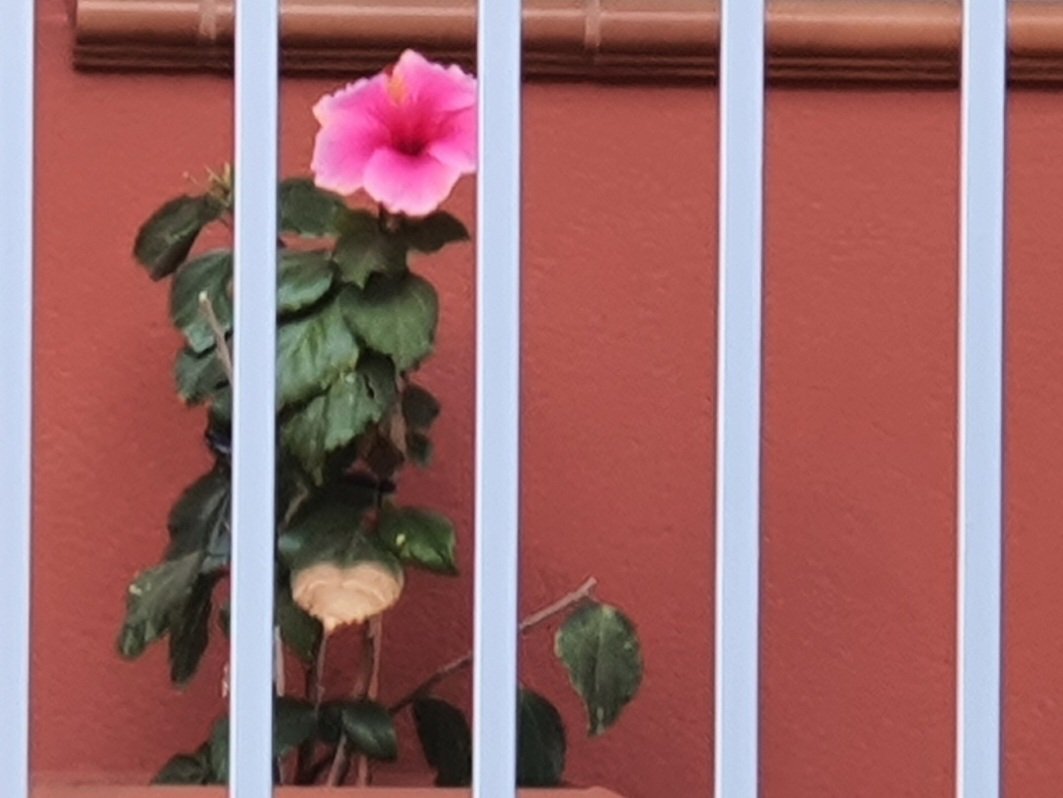 Buenos días tengan 🫂☕️☕️🌞