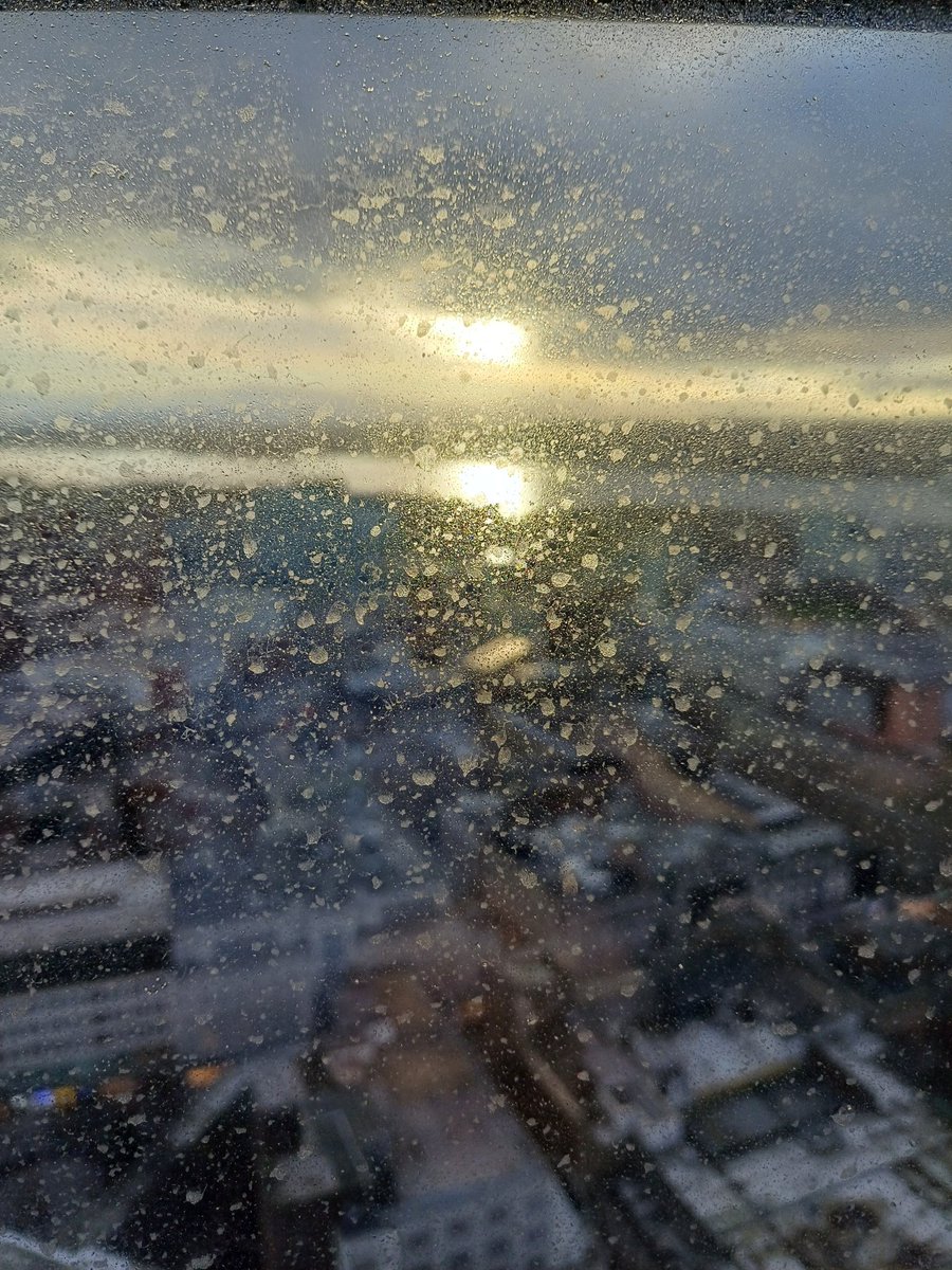 Sam Trafford tweet media