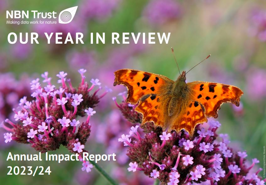 NBNTrust's tweet photo. As the year comes to a close, we reflect on the tremendous impact of the work of the NBN Trust - all of which has involved working with our many partners.

You can discover more, by reading our Annual Impact Report 2023-24: https://t.co/Sjbi8PSVeS

#MakingDataWorkForNature https://t.co/TBTvXsOHRC