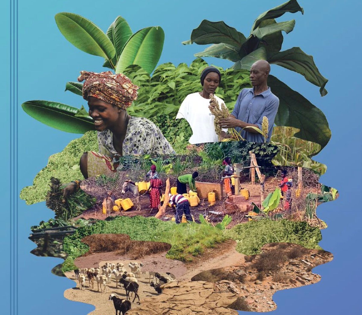 🌏 How can Locally Led Adaptation principles be applied in the #watersector?

💡 This paper proposes an assessment framework to evaluate how #wateradaptation projects align with LLA principles &amp; uses it to examine 6 case studies in #Kenya &amp; #Tanzania.

bit.ly/3VImHLV