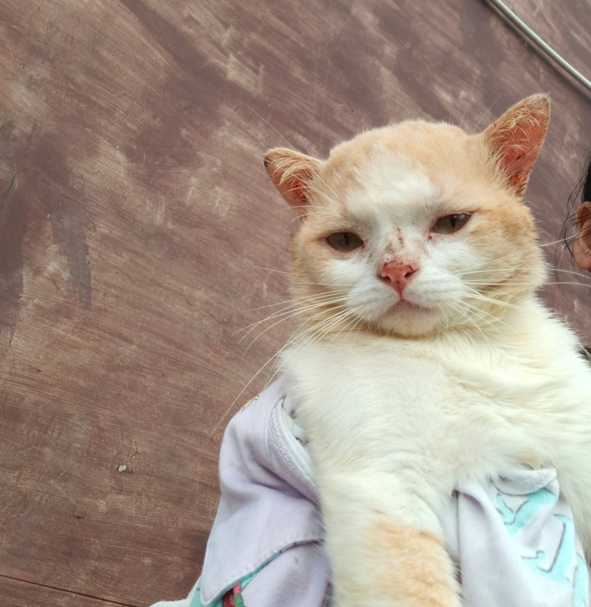 __chimichi's tweet image. yang ngatain dekil aku berakin