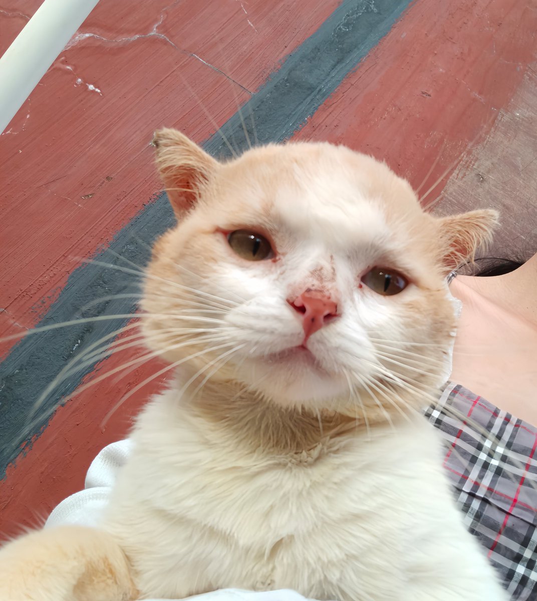 __chimichi's tweet image. yang ngatain dekil aku berakin