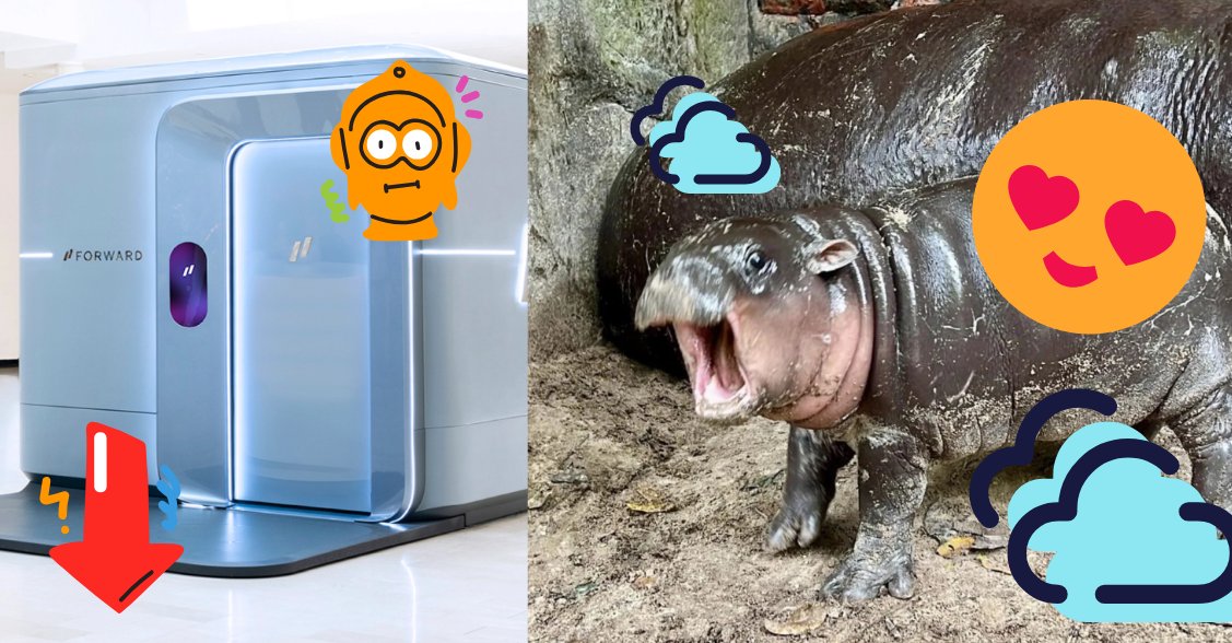 #Year2024 — what a time! While millions around the world have fallen in love with #MooDeng's baby pygmy hippo, #ForwardHealth is shutting down its operations. What went wrong? 👉ictandhealth.com/news/does-forw…