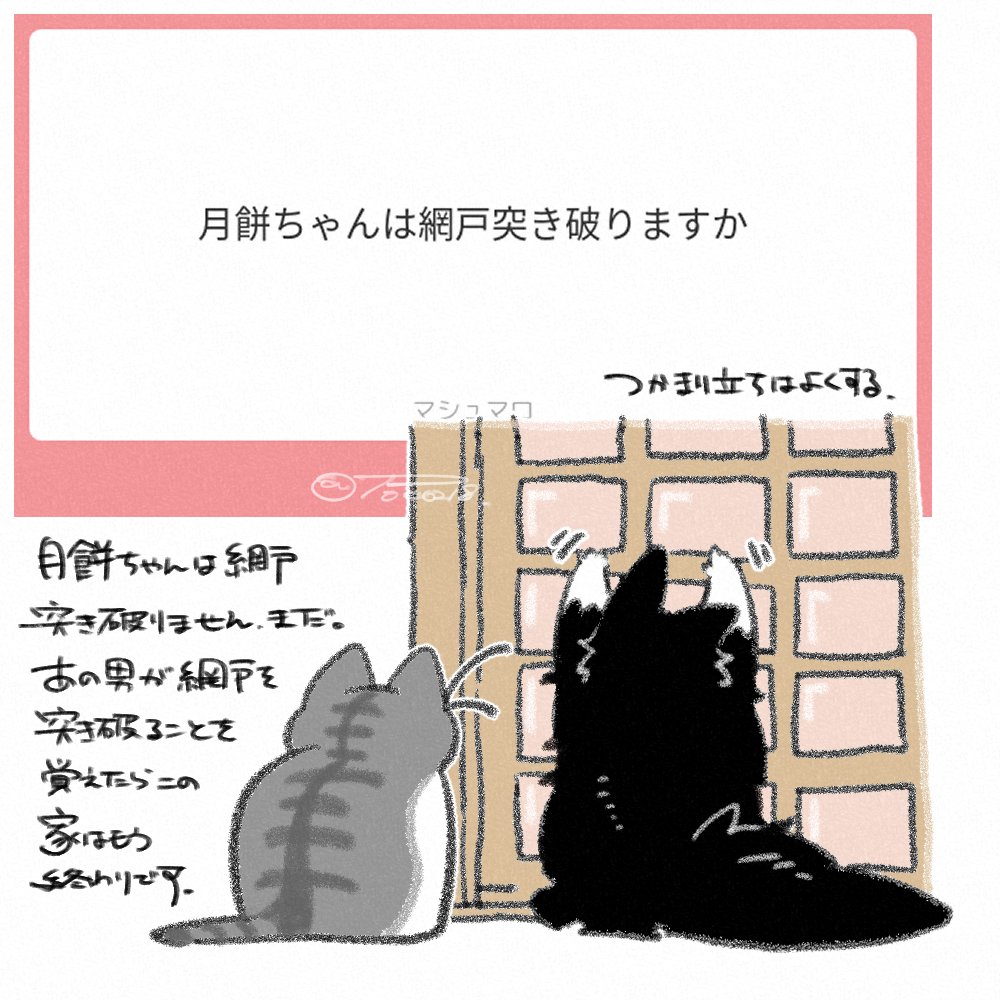 マシュマロ返信です!
なんと休みなのでレスポンスがメチャクチャはやい 