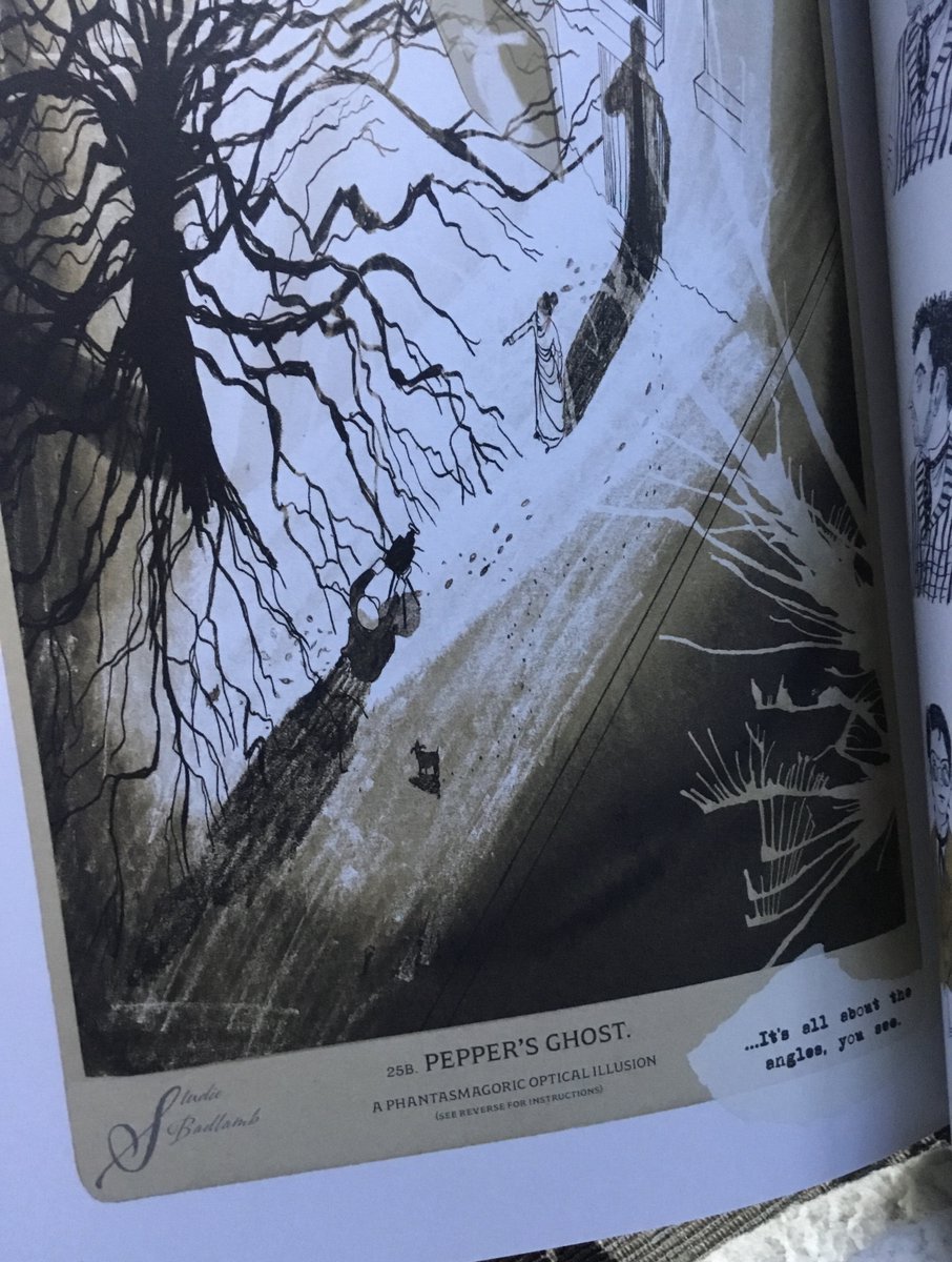 Michelle Maurice tweet media