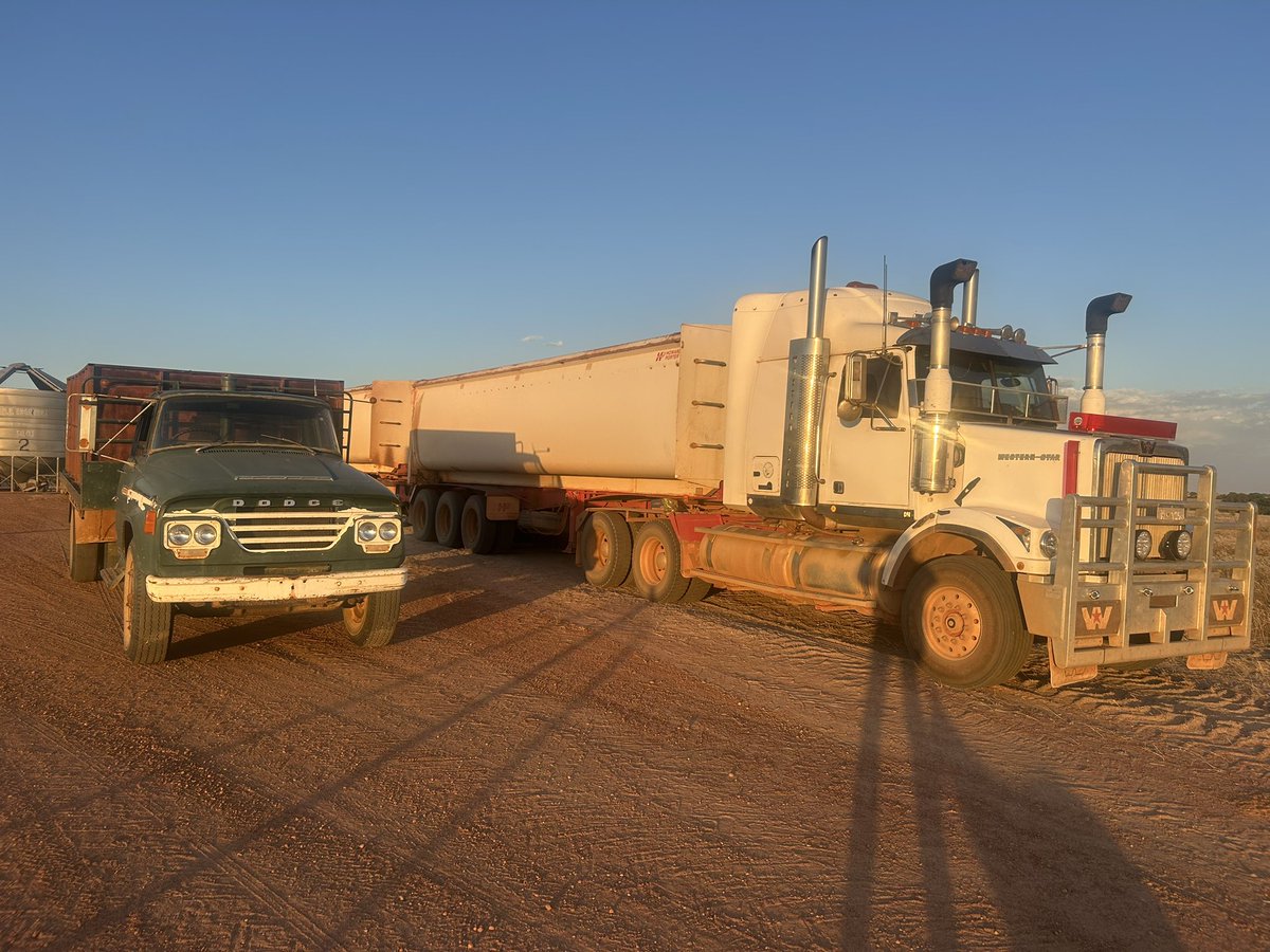 Tony White tweet media