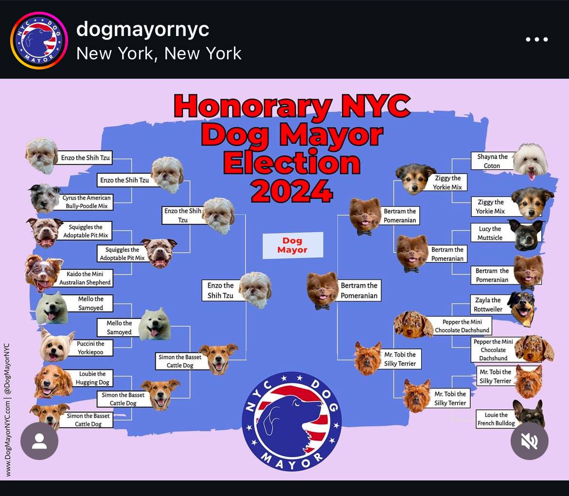Enzo CTO (@ctoenzo) on Twitter photo This has been a very good year❤️
$ENZO $BERT $SIMON $DOGE $SHIB #dogsofX  #Solana <a href="/bertcoincto/">Bert 🧸 🐶</a> <a href="/Simon_on_Solana/">Simon NYC Mayor 🇺🇸</a> <a href="/dogecoin/">Dogecoin</a> This has been a very good year❤️
$ENZO $BERT $SIMON $DOGE $SHIB #dogsofX  #Solana <a href="/bertcoincto/">Bert 🧸 🐶</a> <a href="/Simon_on_Solana/">Simon NYC Mayor 🇺🇸</a> <a href="/dogecoin/">Dogecoin</a>