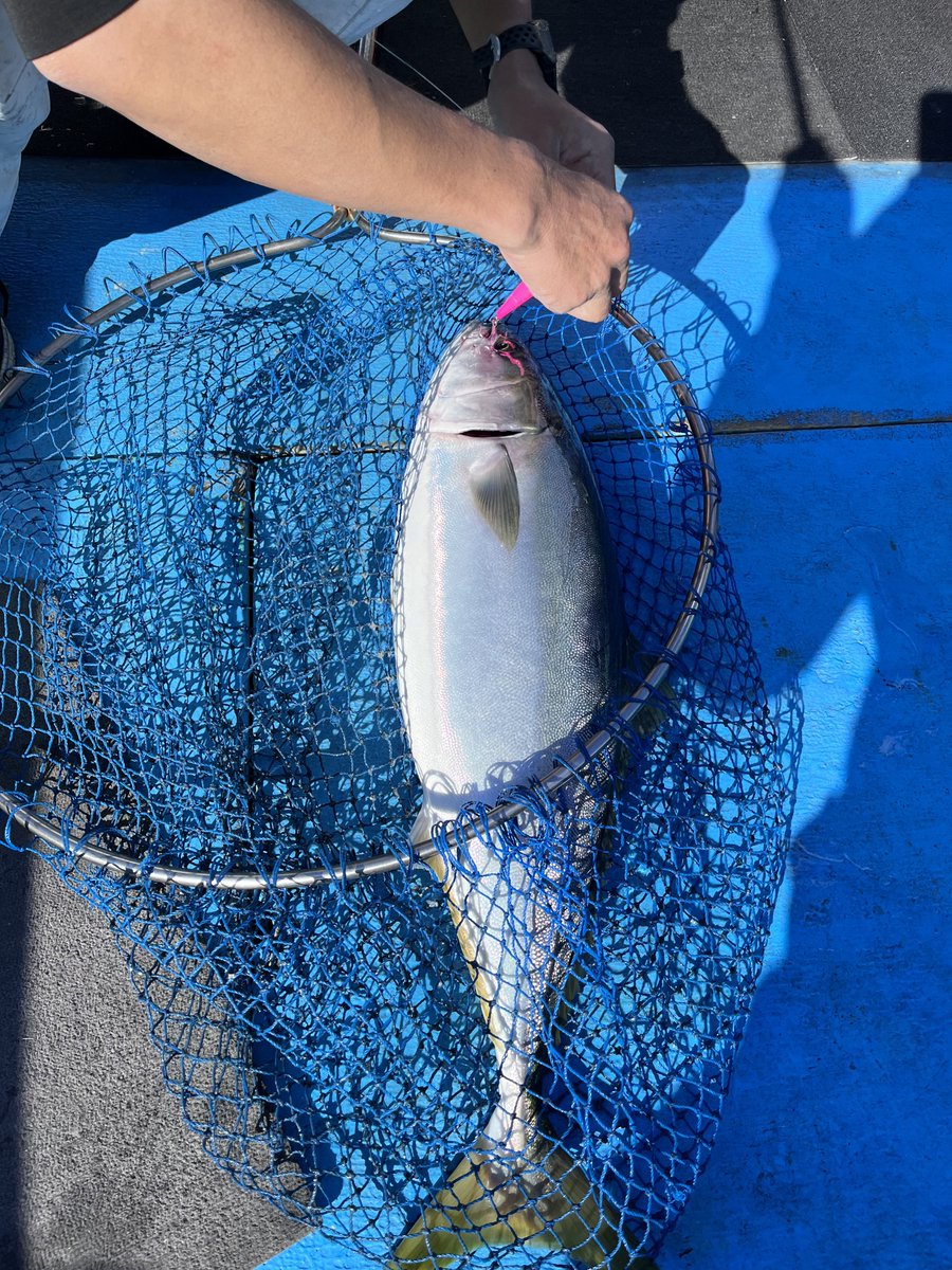 あつや tweet media