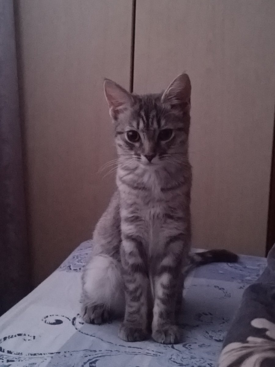 HelisEston's tweet photo. @BlackSunrise17 они не согласны https://t.co/vHNTEzWasX