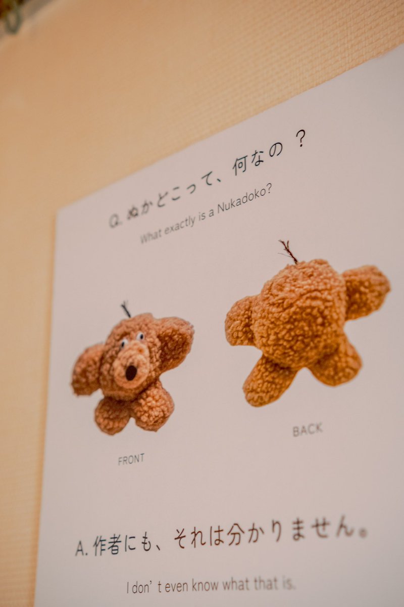 あとりえこだぬき　おから　おもゆ　作家　ぬいぐるみ GgCwH_OawAIVr2e.jpg