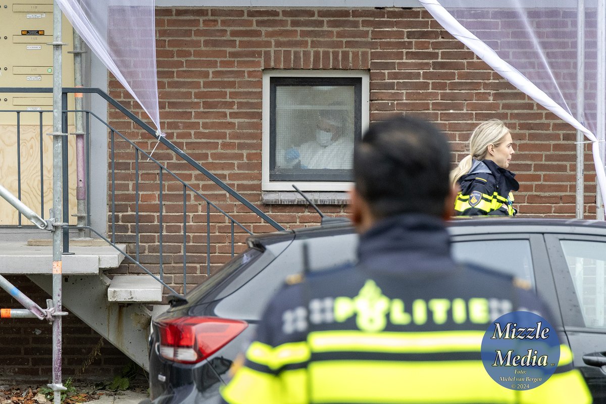 Michel van Bergen tweet media