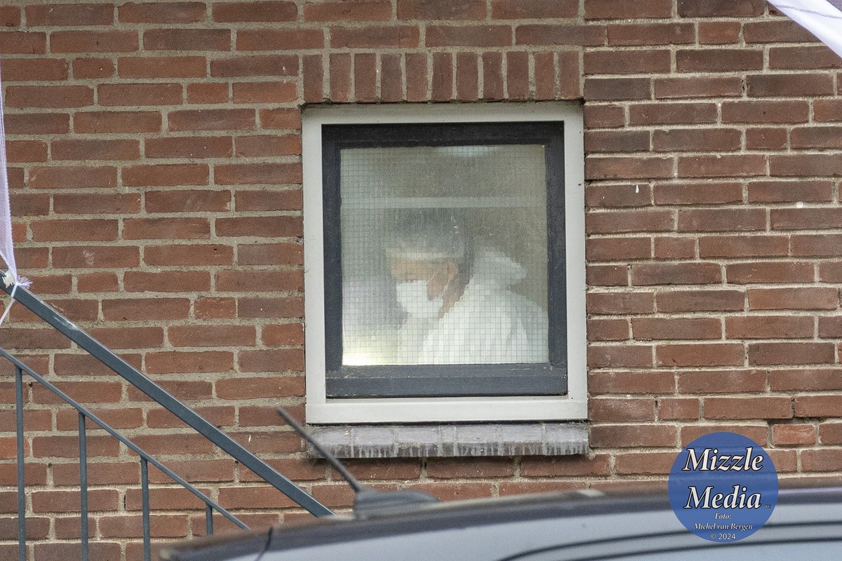 Michel van Bergen tweet media