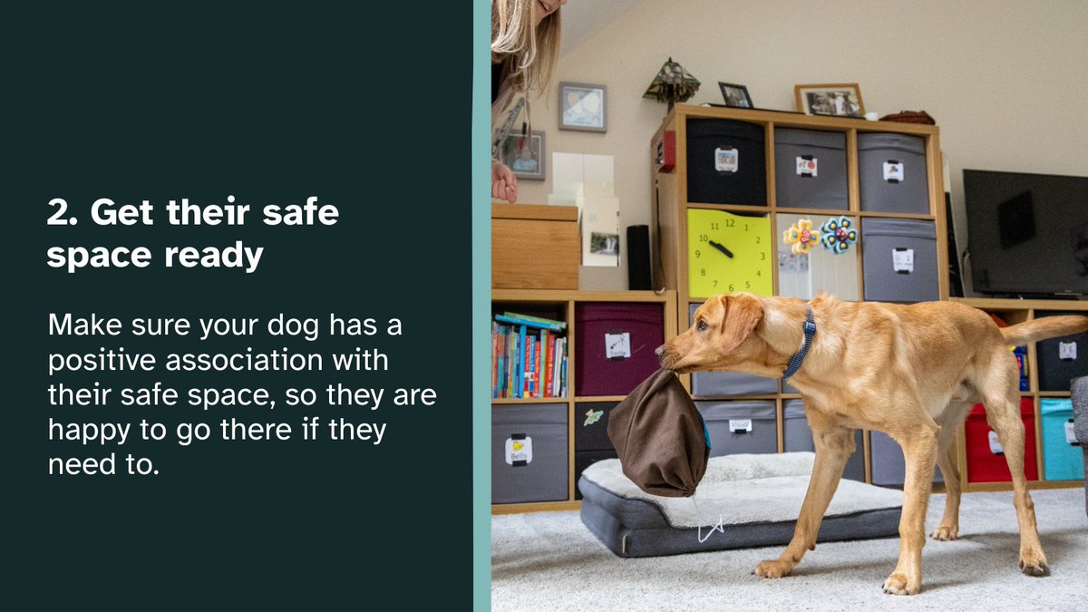 Dogs for Good tweet media